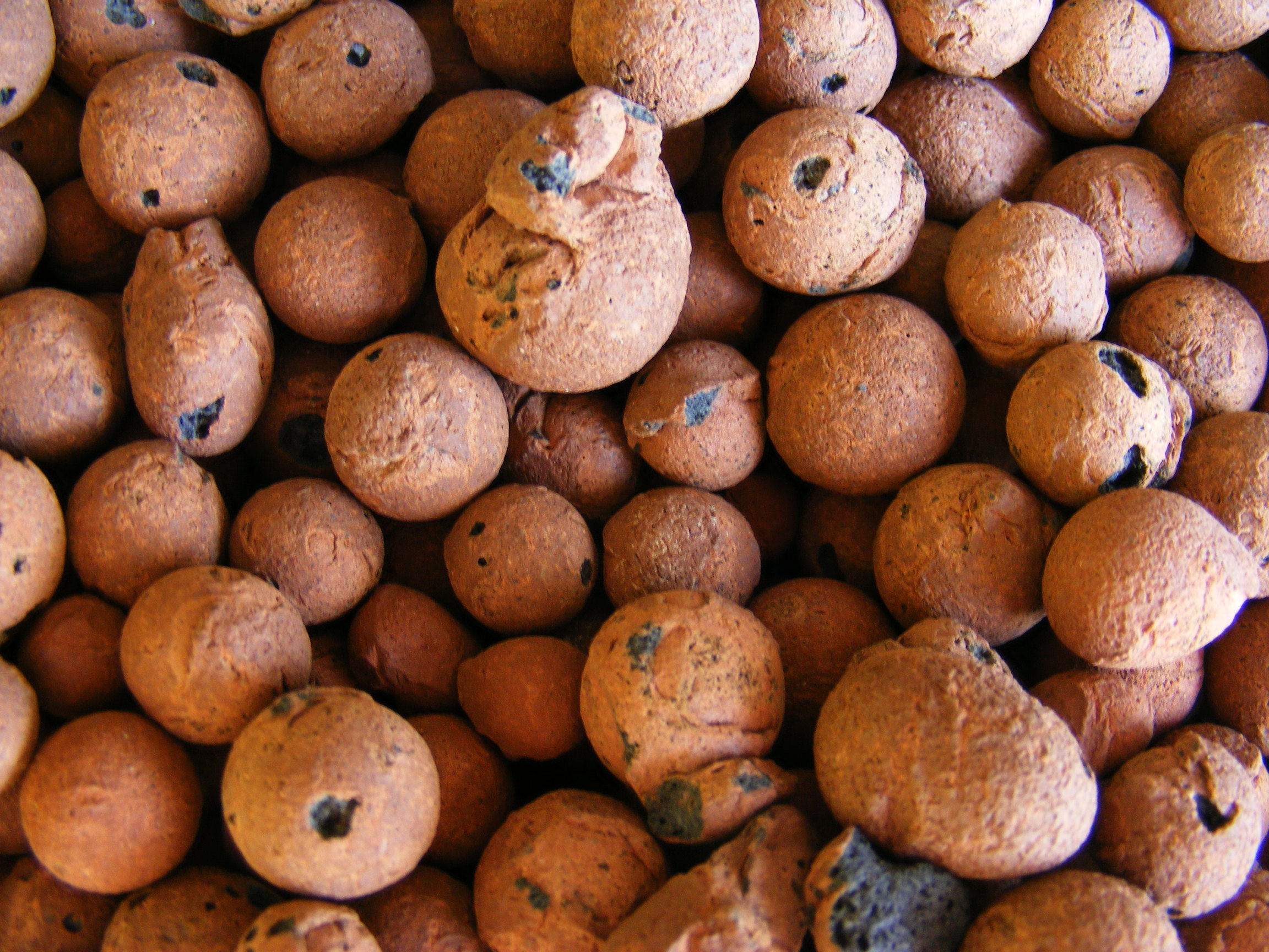 Billes d'argile expansée (LECA) — substrat hydroponique le plus courant pour débutants